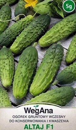 Gurķi ALTAJ F1 3 g WegAna